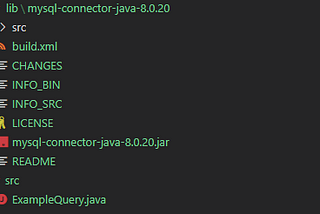 Using Java to Connect to your Database: JDBC API