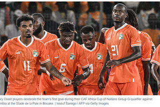 Africa Cup of Nations, homophobic banners by Côte d’Ivoire fans