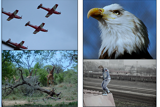 A Survey of Deep learning based Object detection models