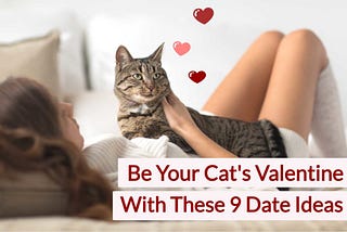Be Your Cat’s Valentine With These 9 “Date” Ideas