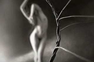 lithe, elongated and limber