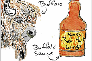 Picture of a buffalo and a bottle of buffalo sauce, each labeled so you can tell the difference.