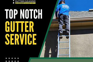 Denver Gutter Cleaning Guide