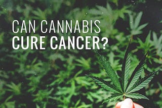 Cannabis, Cancer and Evidence Based Policy.