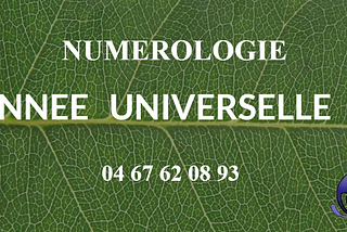 NUMÉROLOGUE — 2017 et L’ ANNÉE UNIVERSELLE 1
2017 = 2+0+1+7 = 10 =1+0=1
Elle amorce le début d’un…