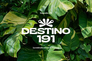 Destino 191: El renacer de Naguabo y la entrada sur al Yunque