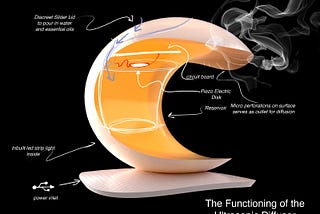 Form and Fungi : A design  exploration into nature.