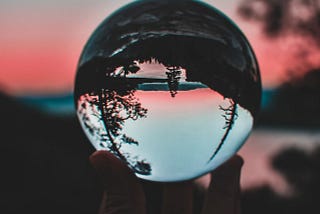 image of a tree in the distance appearing upside down when seen through a glass ball