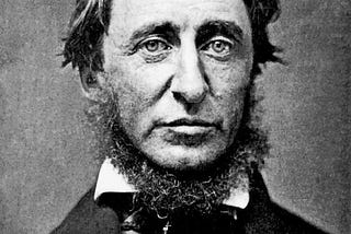 Why the writer Henry Thoreau went to live in the woods