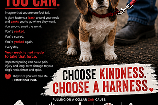 THEY WOULD CHOOSE KINDNESS IF THEY COULD CHOOSE AT ALL