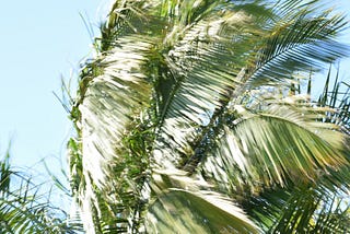 Finding Yourself Again — After Any Kind of Loss