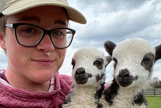 Farmer Given 3-Day Facebook Ban Over Literal Sheep