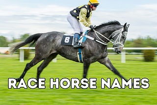 Race Horse Names