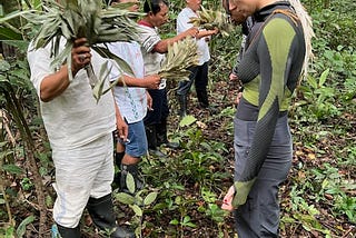 Indigenous Plant Medicine and the Western World