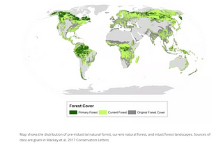 How to be a friend to forests -2