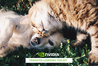 Train models like a pro with NVIDIA TLT 3.0