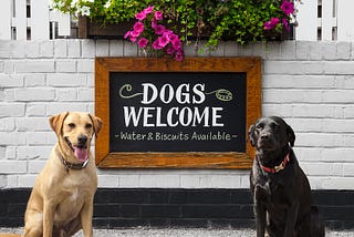 Dog Friendly Pubs in South West London
