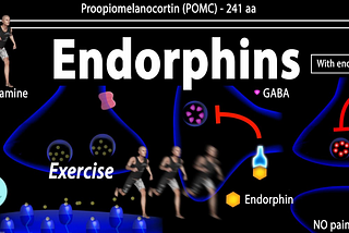 Endorphins