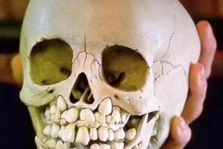 7 year old skull for sale