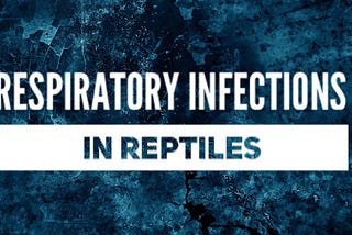 Respiratory Infections in Reptiles