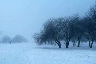 Wintering Chronics: Sunrises and Fogs