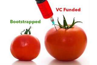 Bootstrapping a Startup in Pursuit of Freedom