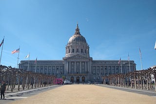 Sasha’s November 2024 SF Voter Guide