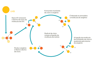 A destruição da camada de ozônio