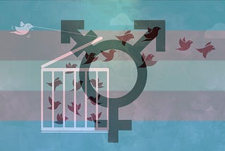 Transcending the Transgender Debate