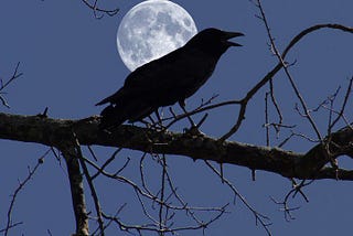 to kill a mockingbird , harper lee’s masterpiece