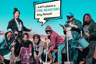 Let’s plant a fire-resistant forest.