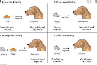 Different perspectives in psychology