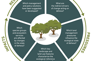 Landscapes of High Value — Changing Dynamics of Agroforestry on the Iberian Peninsula