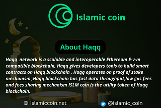 Islamic coin Overview