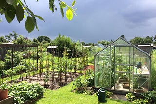 Allotments: Can a British pastime help solve the looming food crisis in our cities?