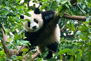 Functionality — Pandas