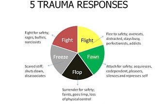 Trauma Recovery: A Blueprint and Strategies