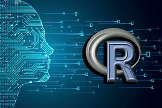 12 Months in R: A reflection