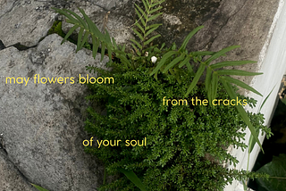 may flowers bloom from the cracks of your soul