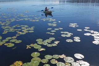 A quiet spot near the busy Orlando theme parks