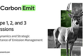 Scope 1, 2, and 3 Emissions