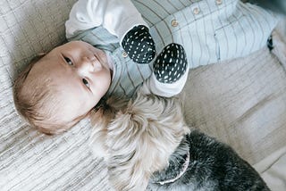 Babies are Basically Puppies