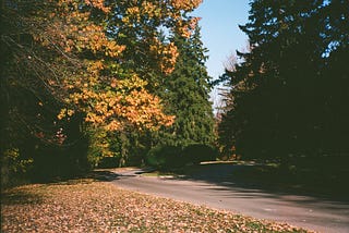 Film Photography