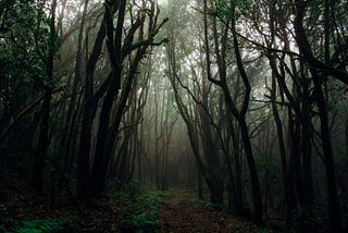 Short Story: Out of the Woods