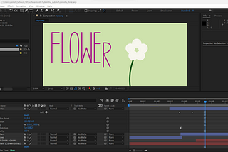 Software Skill: Adobe After Effects