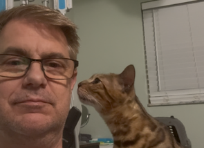 “Good Enough to Foster, Not Good Enough to Adopt” How I was Denied the Cat I Rehabilitated