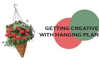 Getting Creative with Hanging Plants this Spring