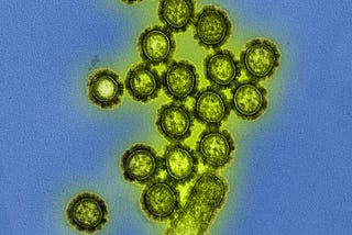 Flu News Friday: The Latest in Influenza Vaccines