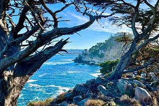 The Jewel in the Crown in the Crown Jewel of California State Parks