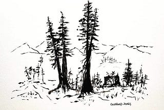 A picture of a pine sketch by Clifford Jones